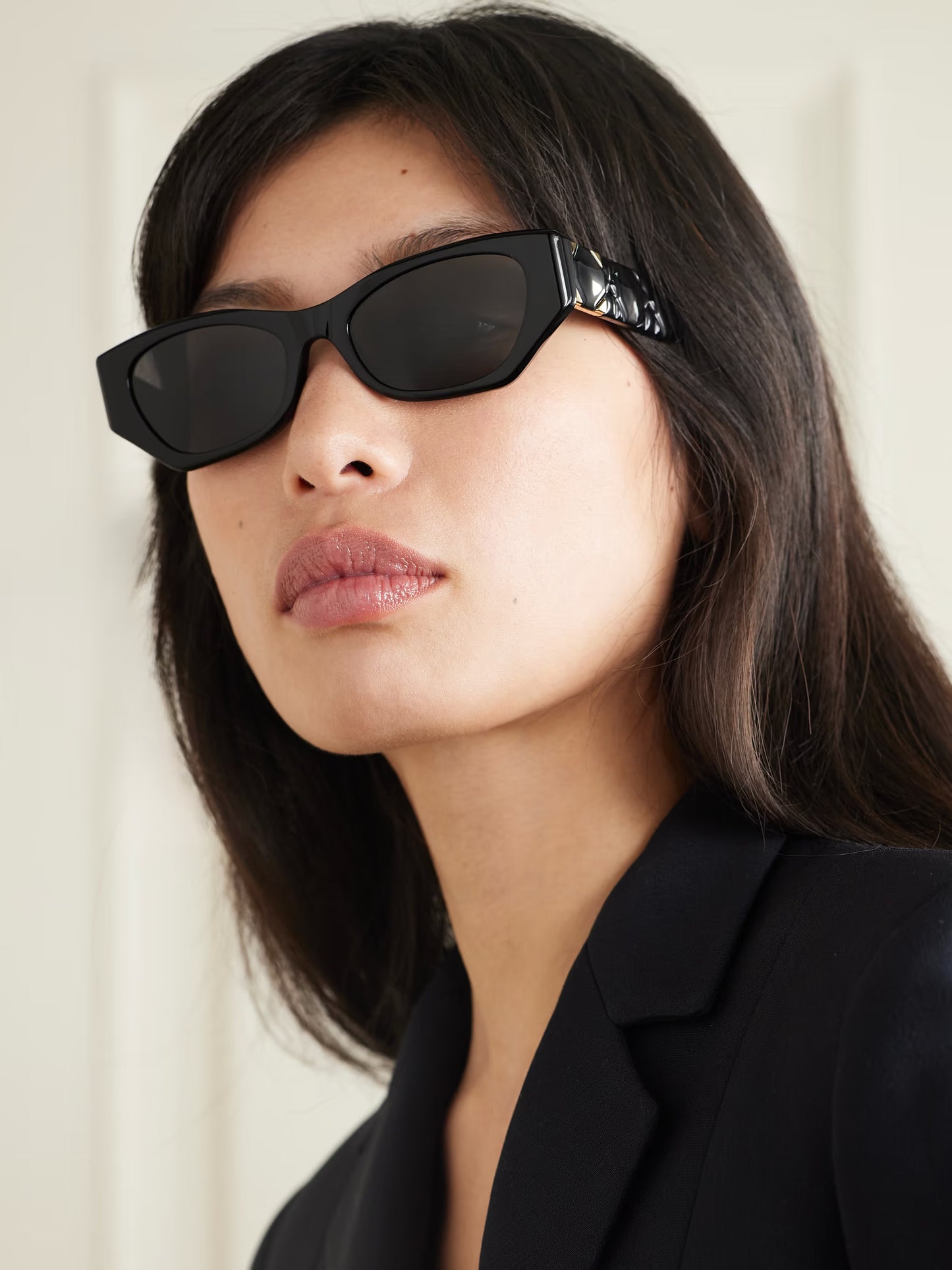 DIOR EYEWEAR Lady 95.22 B1I cat-eye acetate sunglasses